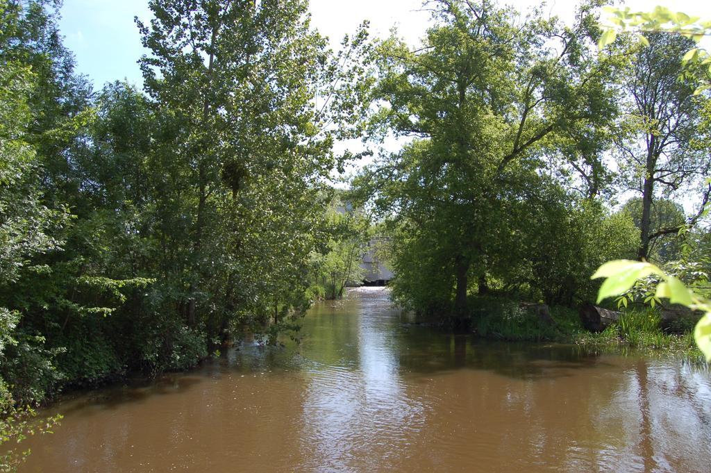 Bed and Breakfast Le Moulin Neuf Vignoux-sur-Barangeon Esterno foto
